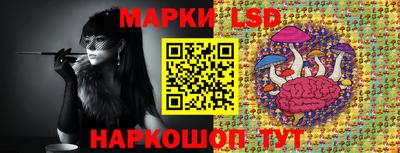 мдпв Кимры