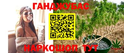 мдпв Кимры