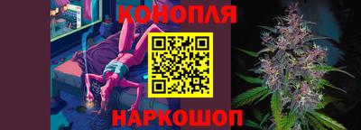 мет Кингисепп