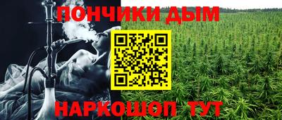мет Кингисепп