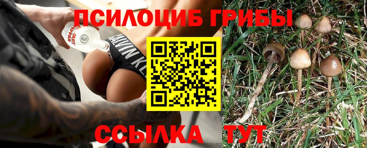 Псилоцибиновые грибы мухоморы Лениногорск
