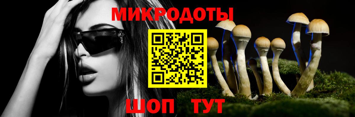 Лениногорск  Галлюциногенные грибы мухоморы  Вход с VPN 